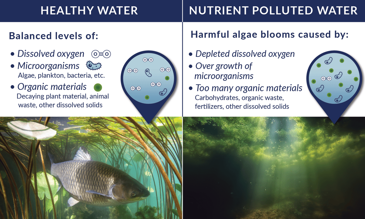 which-deicing-ingredients-affect-algae-growth